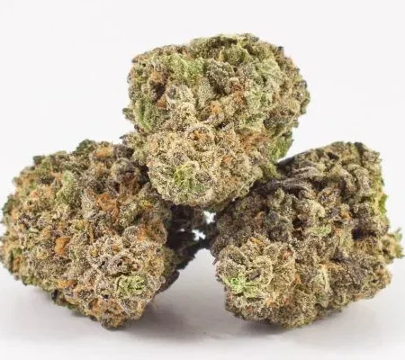 DUKE NUKEM - Sativa (AAA+)