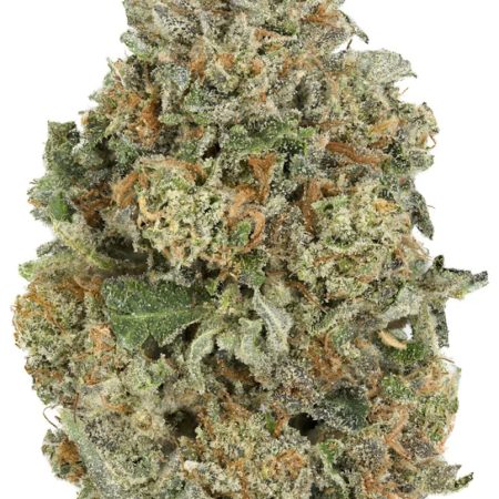 El Jefe Strain Indica