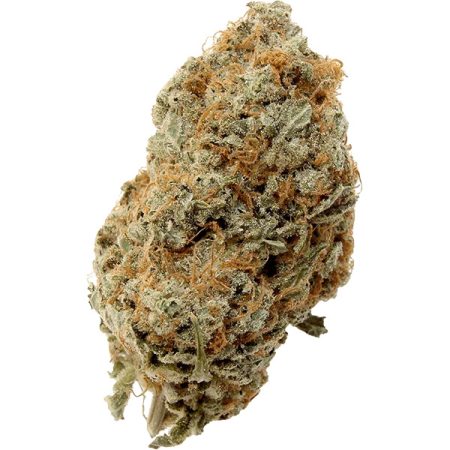 Island Girl Strain Sativa