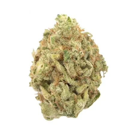 PINK GORILLA - Indica (AAA)