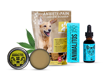 CBD FOR PETS