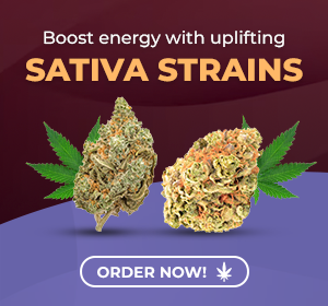 sativa strains online